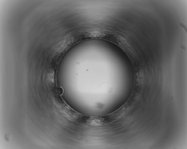 X0000100420368200806131104