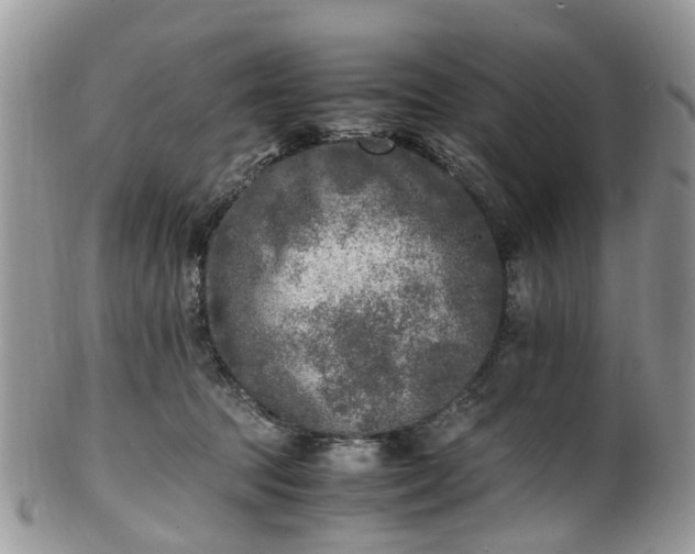 X0000100420369200806131104