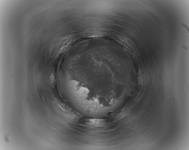 X0000100420371200806131104