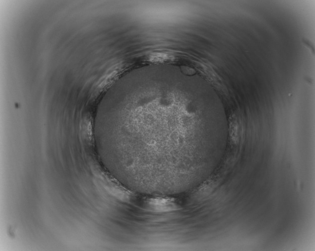 X0000100420375200806131104