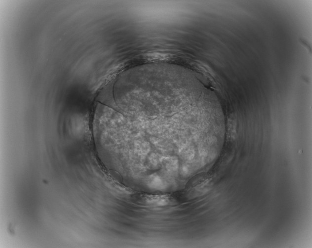 X0000100420377200806131104