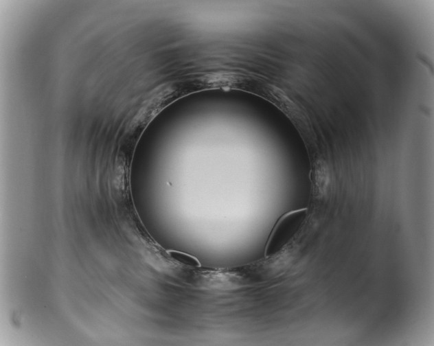 X0000100420379200806131104