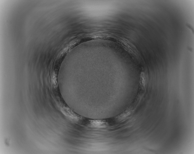X0000100420380200806131104