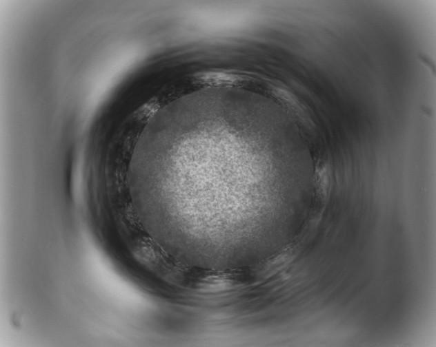 X0000100420381200806131104