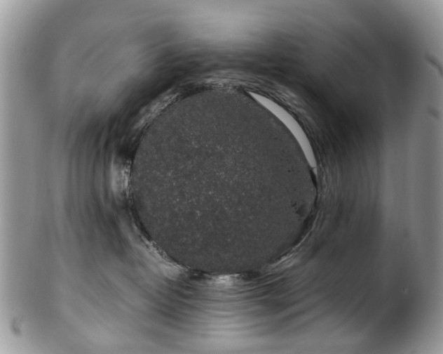 X0000100420382200806131104