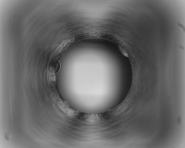 X0000100420384200806131104