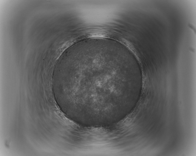 X0000100420385200806131103