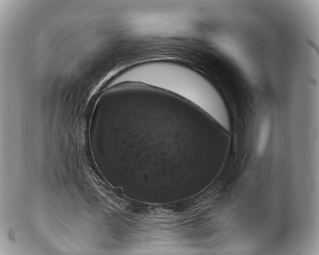 X0000100420387200806131103