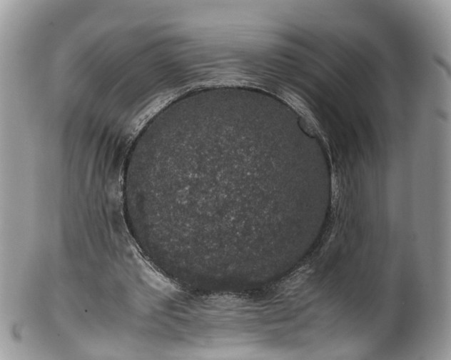 X0000100420389200806131103