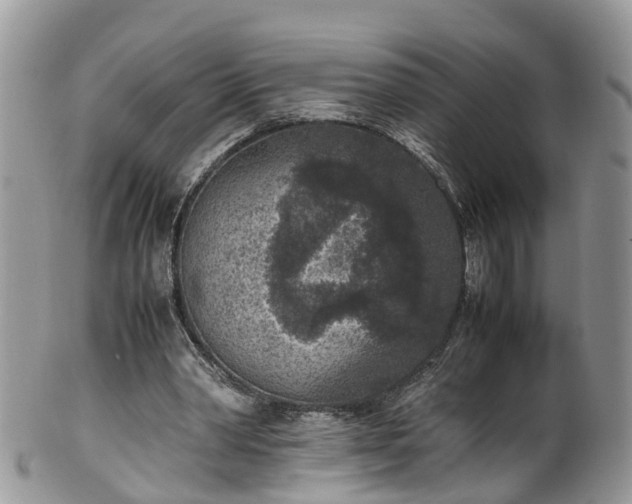 X0000100420390200806131103