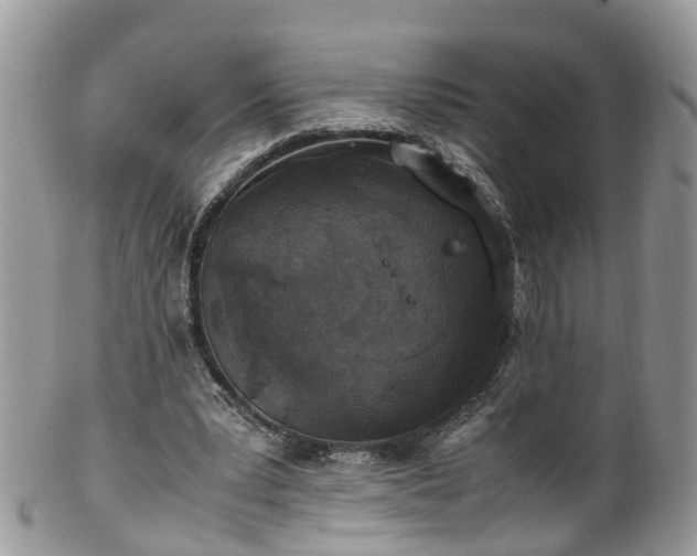 X0000100420391200806131103
