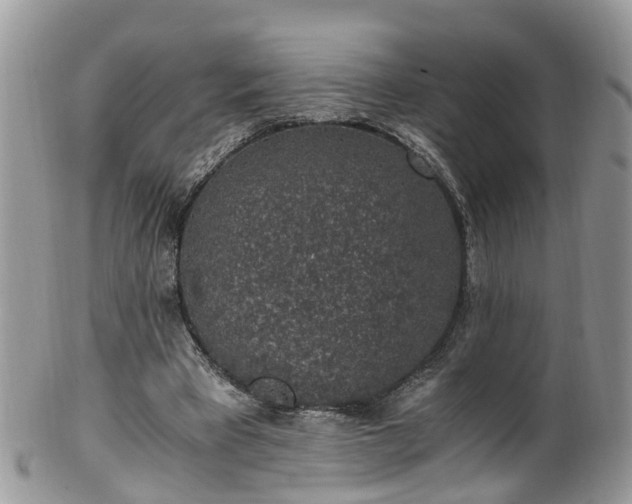 X0000100420393200806131103