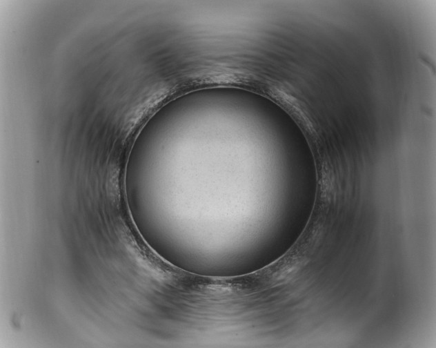 X0000100420394200806131103