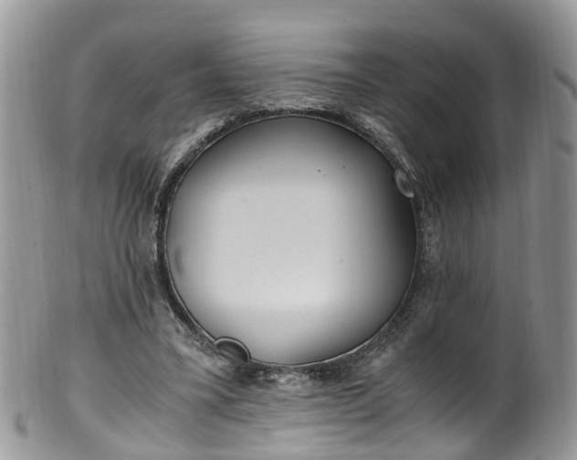X0000100420395200806131103