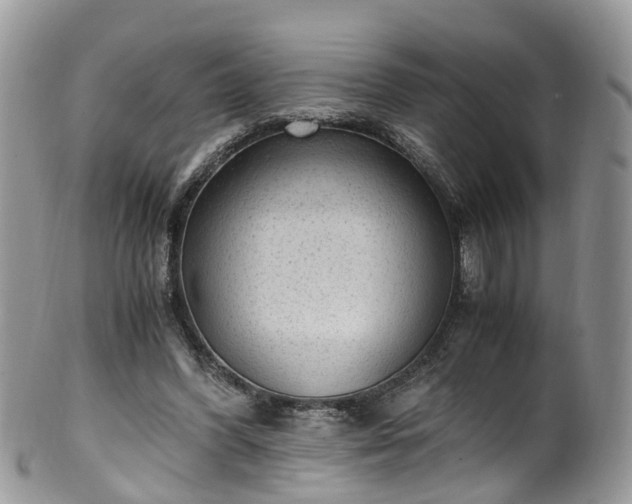X0000100420396200806131103