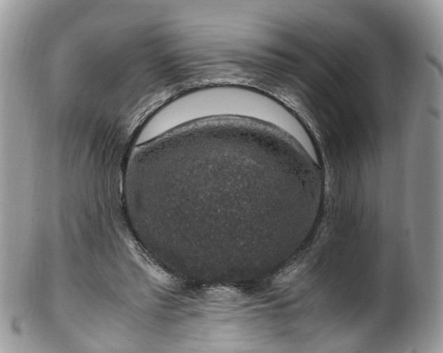 X0000100420397200806131103