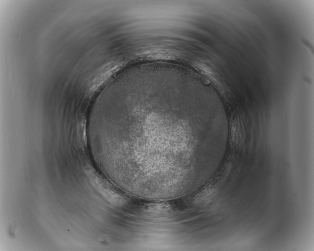 X0000100420398200806131103