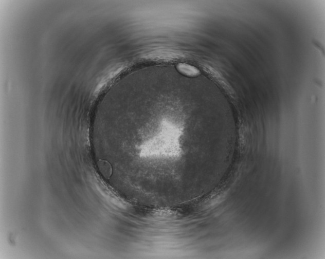 X0000100420399200806131103