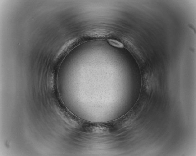 X0000100420400200806131103