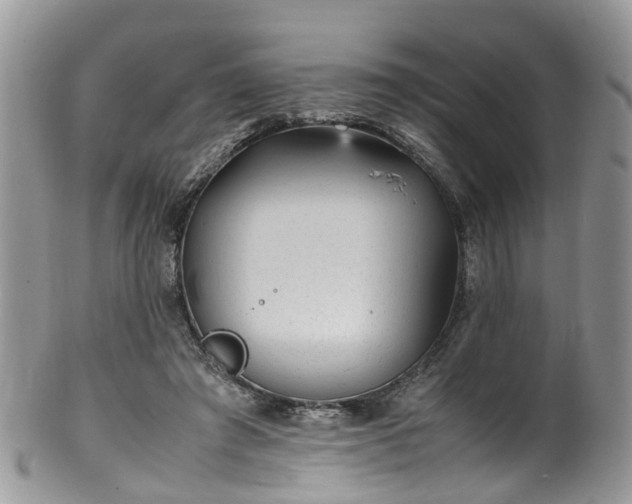 X0000100420401200806131103