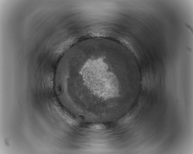 X0000100420402200806131103