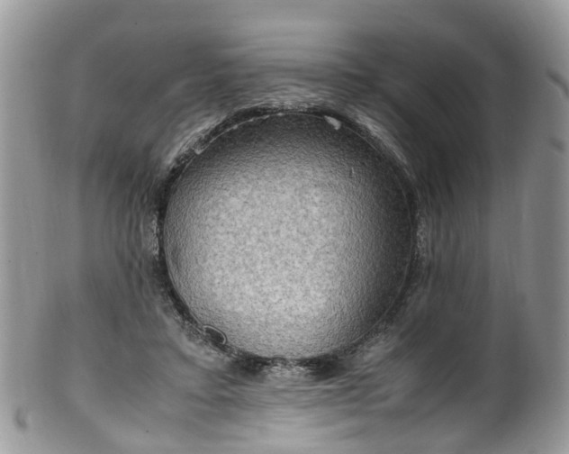 X0000100420403200806131103