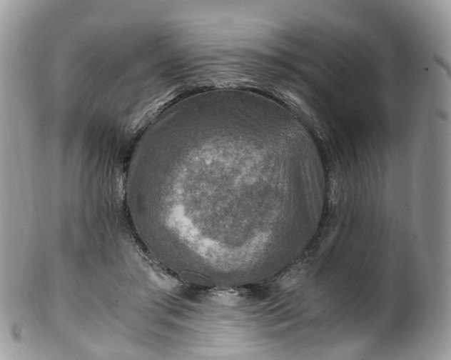 X0000100420405200806131103