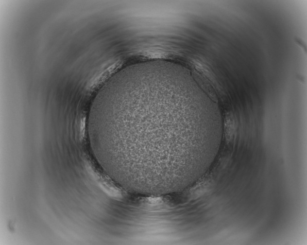 X0000100420406200806131103