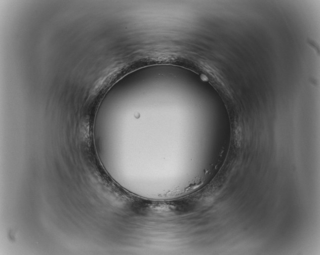 X0000100420407200806131103