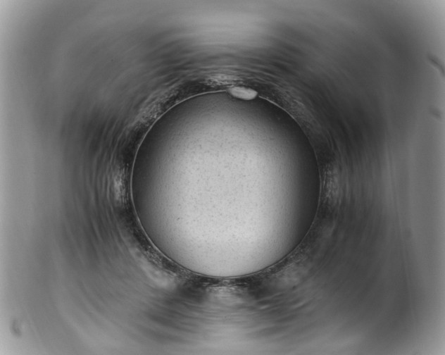 X0000100420408200806131103