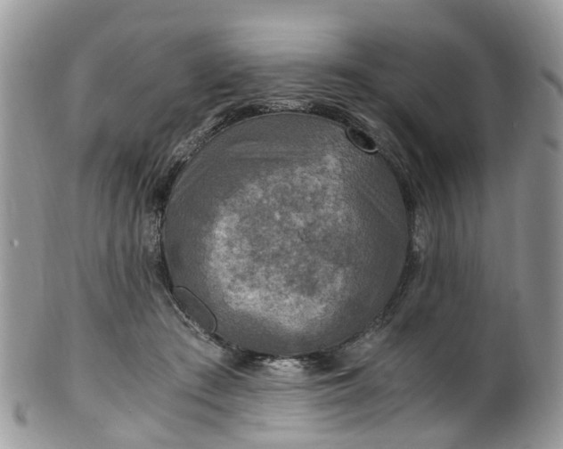 X0000100420409200806131103