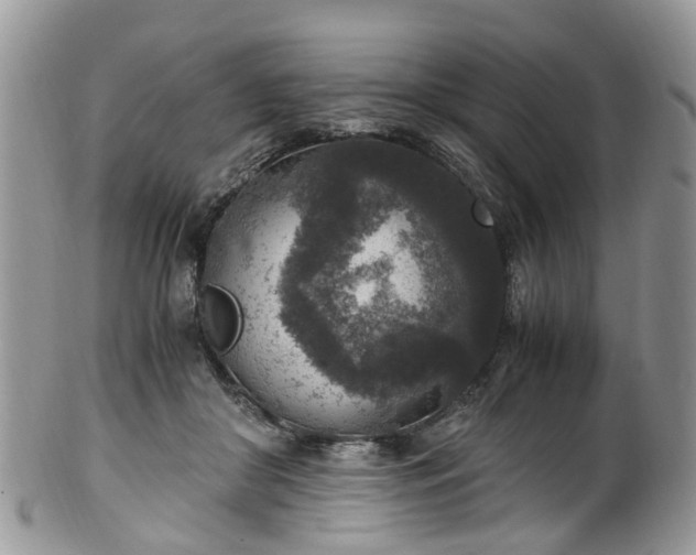 X0000100420410200806131103