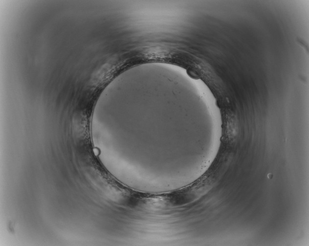 X0000100420411200806131103