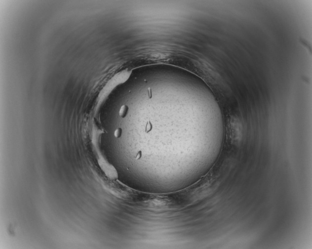 X0000100420412200806131103