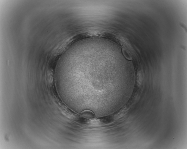 X0000100420413200806131103