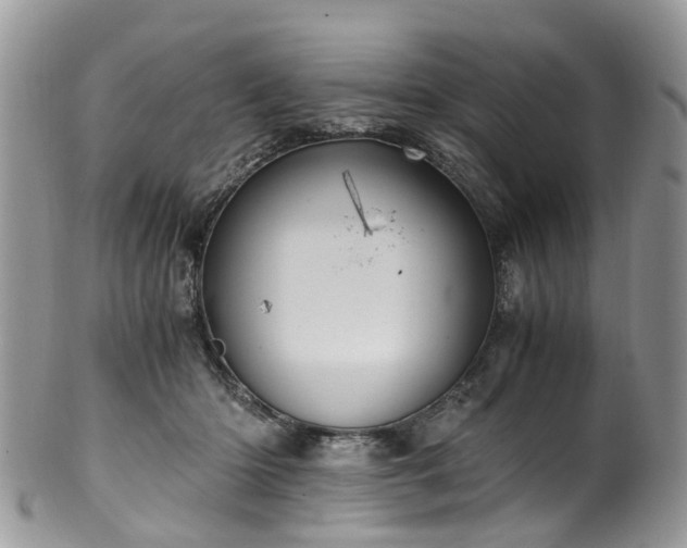 X0000100420414200806131103