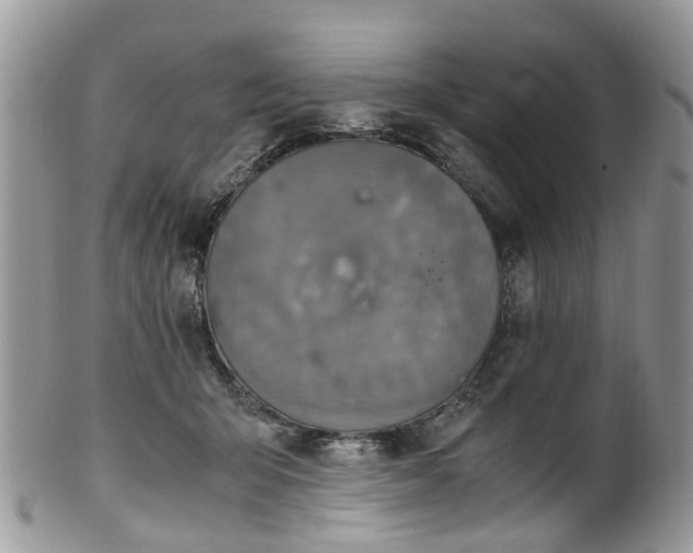 X0000100420415200806131103