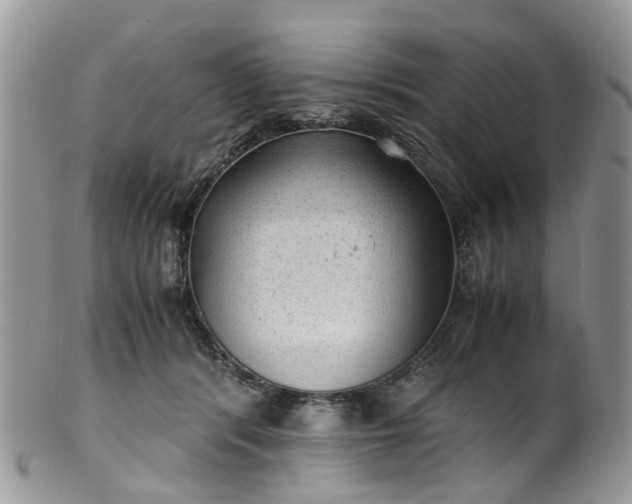 X0000100420416200806131103
