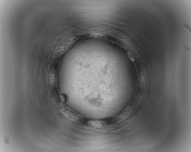 X0000100420417200806131103