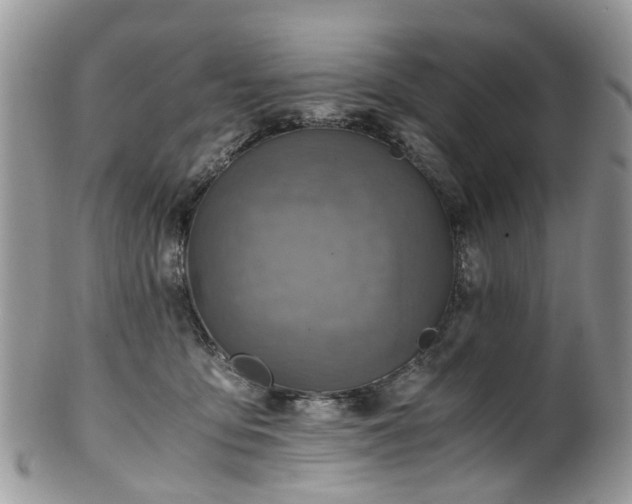 X0000100420419200806131103