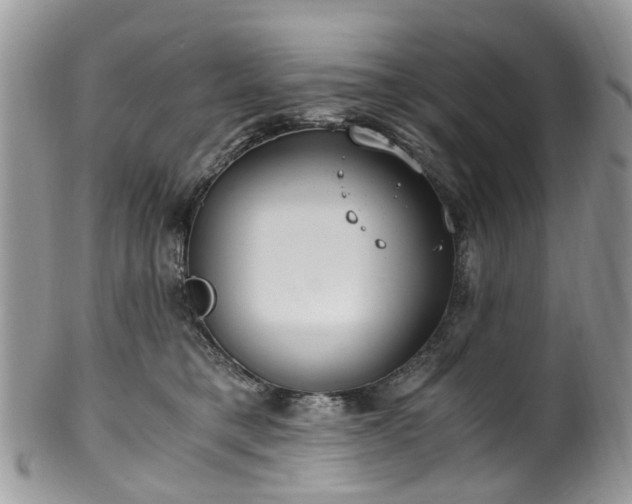 X0000100420421200806131103