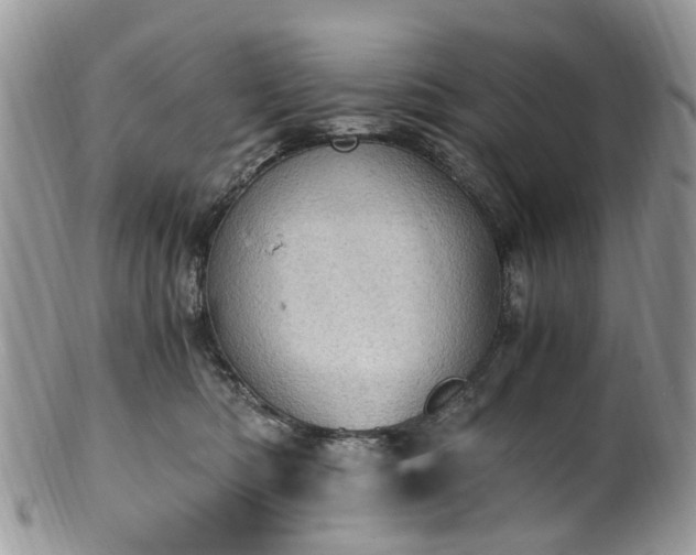 X0000100420422200806131103