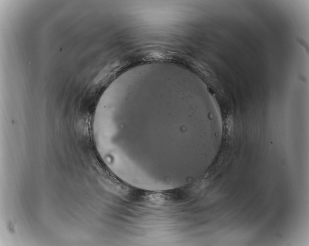 X0000100420423200806131103