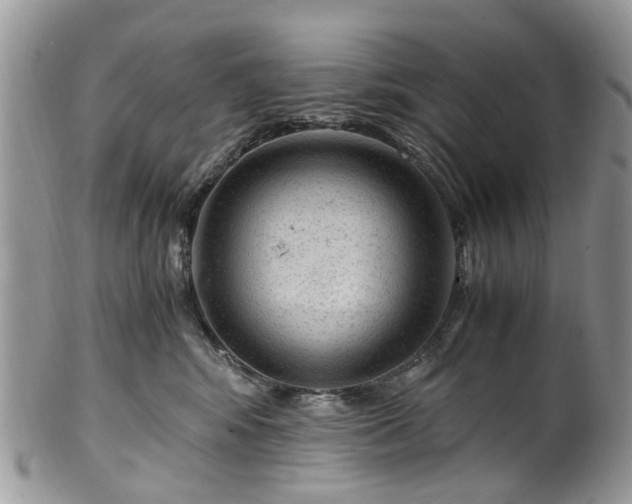 X0000100420424200806131103