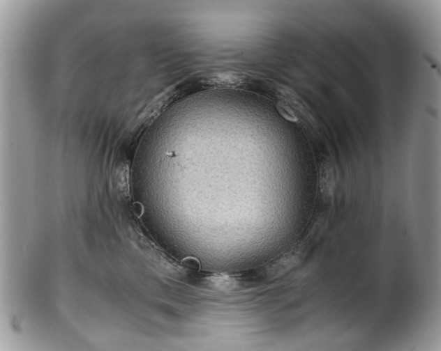 X0000100420425200806131103