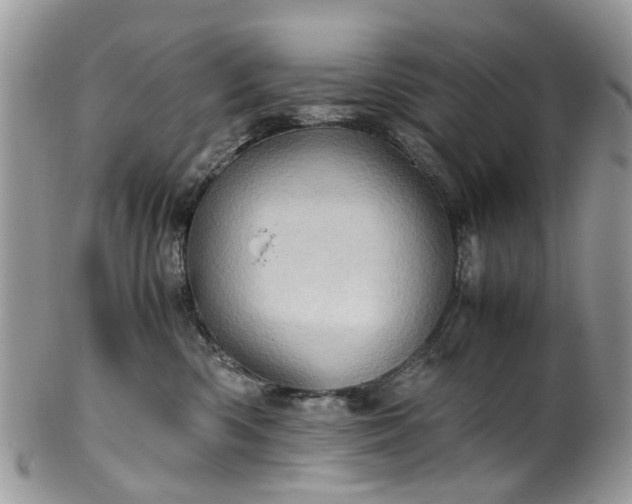 X0000100420426200806131103