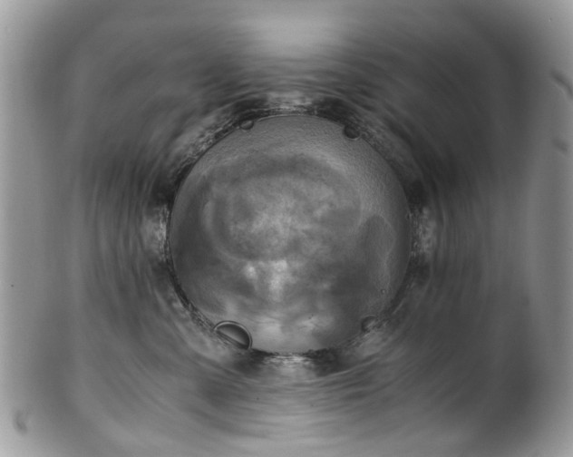 X0000100420427200806131103