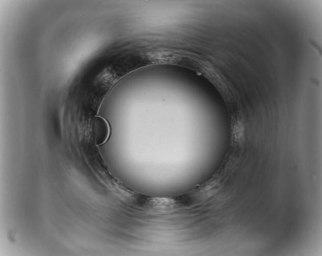 X0000100420429200806131103