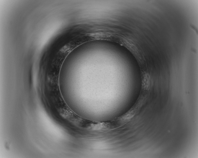 X0000100420430200806131103