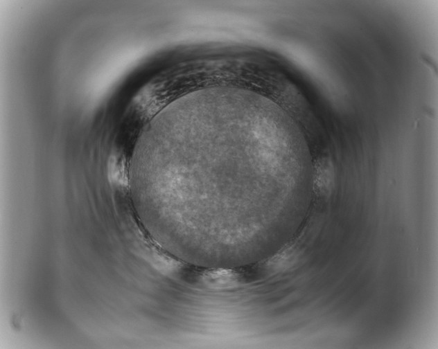 X0000100420431200806131103